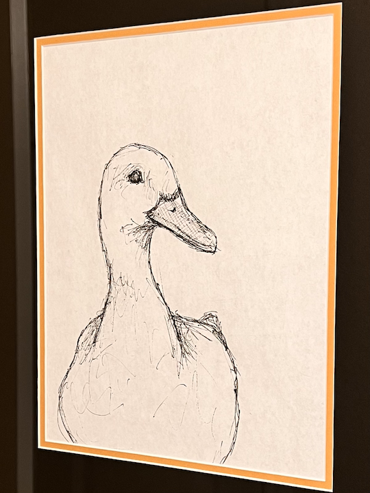 Framed ink sketch of a duck in profile, drawn with confident, minimal strokes.