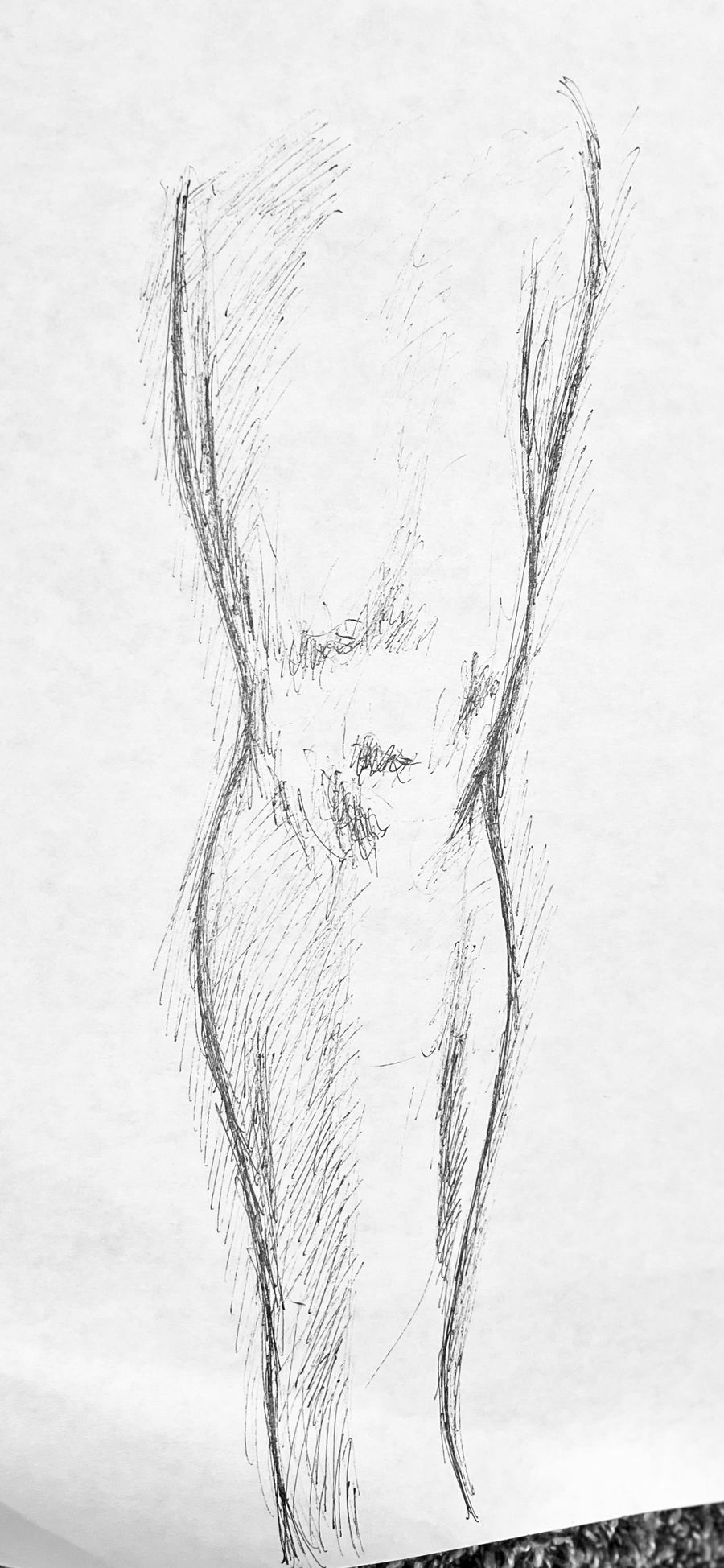 A tall, narrow drawing of Rob's leg on white paper, with fine contour lines and loose hatching defining the thigh, knee, and calf.