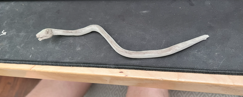 Beginning of the snek sculpture.