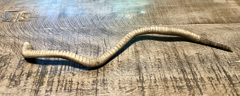 Belly of the hard-carved wooden rattlesnake sculpture.
